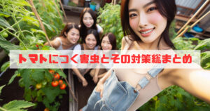 トマトにつく害虫とその対策総まとめ
