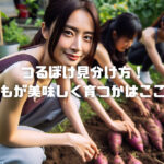 つるぼけ見分け方!さつまいもが美味しく育つかはここで決まる